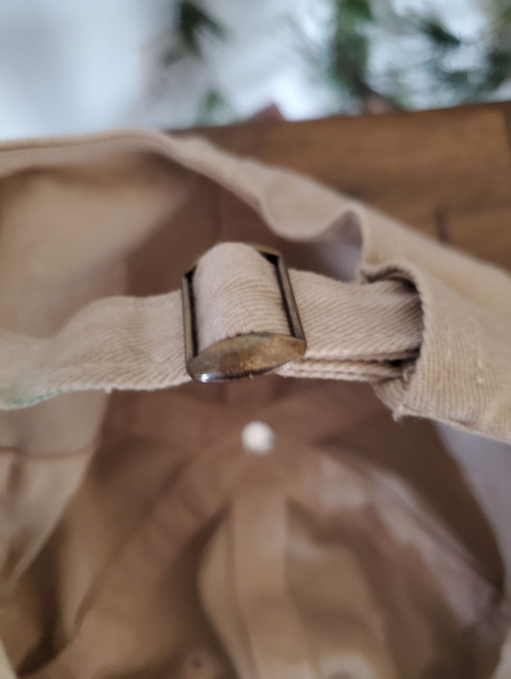 Minimalist Cactus Embroidered Dad Hat | Khaki Tan Cotton Baseball Cap - Picture 5 of 6